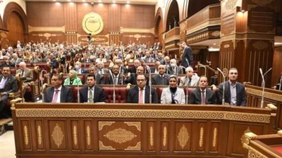 مجلس الشيوخ يوافق على قانون المسئولية الطبية وحماية المريض