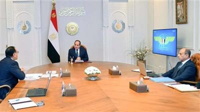 السيسي يدعم تطوير منظومة الطيران لتحقيق التنمية الاقتصادية.. تفاصيل