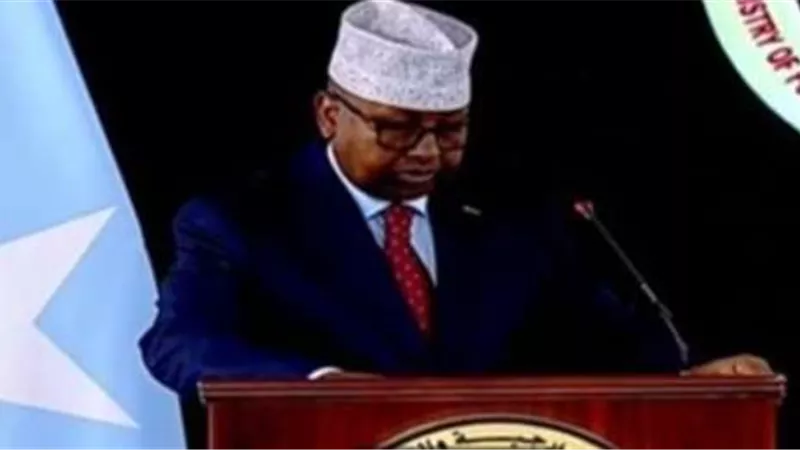 وزير الخارجية الصومالي يشيد بجهود مصر في دفع العلاقات الثنائية لمستويات متميزة