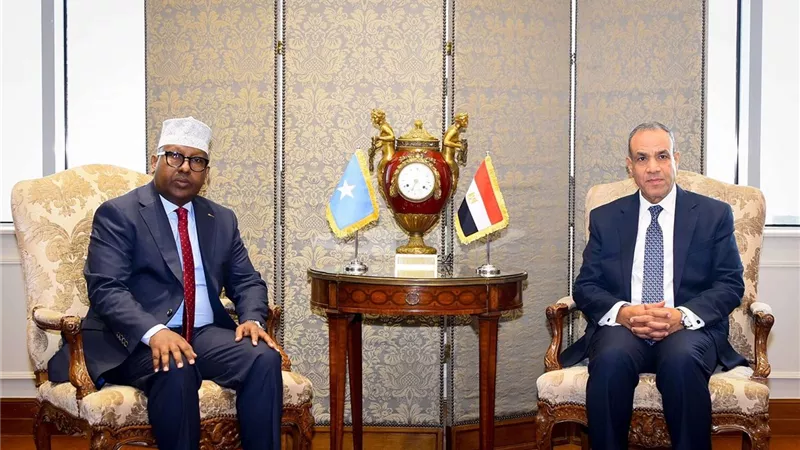 مباحثات ثنائية بين وزير الخارجية المصري ونظيره الصومالي