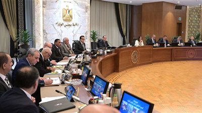 رفع كفاءة 123 ألف منزل ضمن المبادرة الرئاسية 