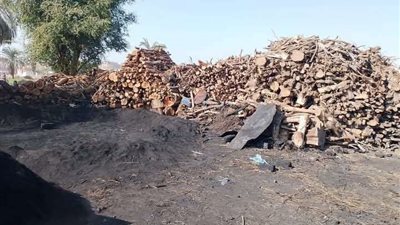 مكامير الفحم في أسيوط.. كارثة بيئية تهدد صحة المواطنين