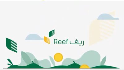 كيف أعرف أني مقبول في الريف؟ كيفية التأكد من قبول طلبك في برنامج ريف وشروط الاستحقاق وطريقة الاستعلام