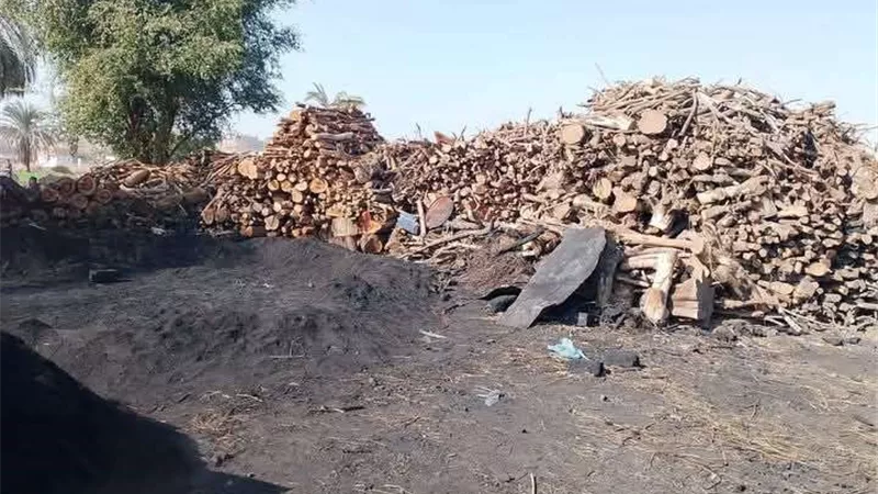 مكامير الفحم في أسيوط.. كارثة بيئية تهدد صحة المواطنين