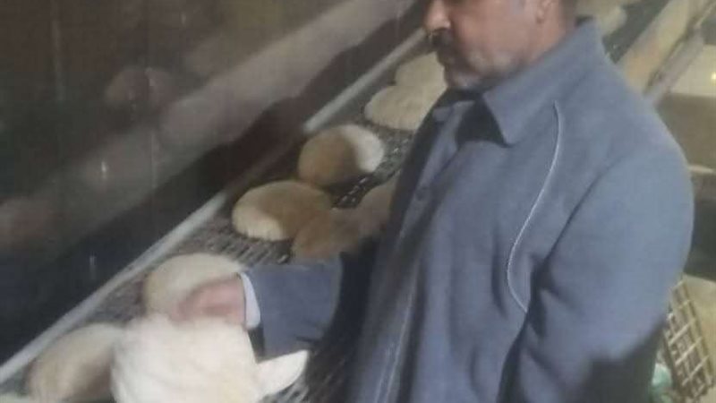 بلدنا اليوم