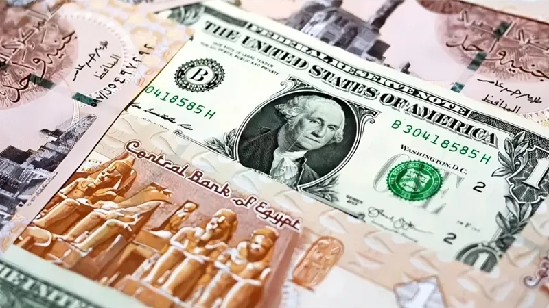 الأخضر بكام؟ أسعار الدولار مقابل الجنيه اليوم الأحد 29 ديسمبر 2024