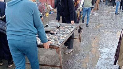 إزالة ٥١٠ مخالفة إشغال طريق بكفر الدوار