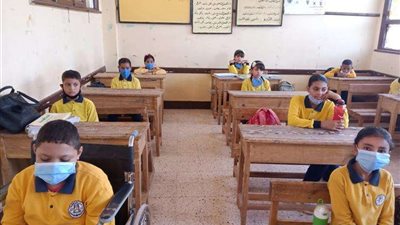كيف يستعد طلاب المرحلة الابتدائية للامتحانات قبل انطلاقها بأيام؟.. خبير تربوي يوضح