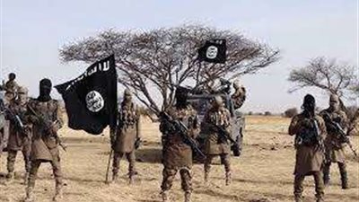 أحمد موسى: انتشار عناصر 