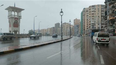 درجات الحرارة اليوم الأحد 12 يناير 2025 .. الصغرى بالإسكندرية 10