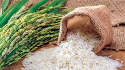 شائعات التصدير تدفع أسعار الأرز للارتفاع رغم الاكتفاء الذاتي