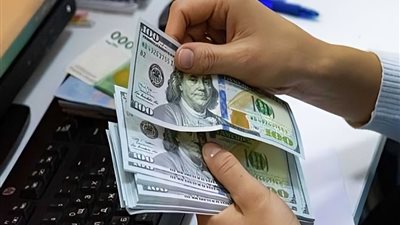 سعر الدولار مقابل الجنيه المصري في البنوك المختلفة اليوم الأحد 19 يناير 2025