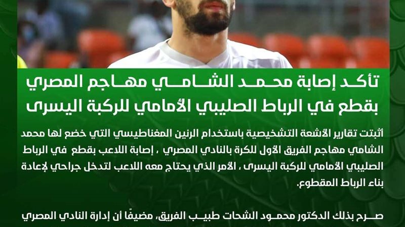محمد الشامي