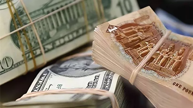 سعر الدولار مقابل الجنيه المصري اليوم السبت 18 يناير 2025