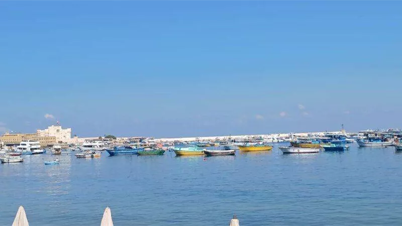 حالة الطقس في الإسكندرية اليوم الاثنين 20 يناير 2025