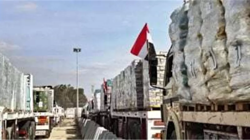 شباب مصر: متطوعون في حب بلدنا ودعم القضية الفلسطينية
