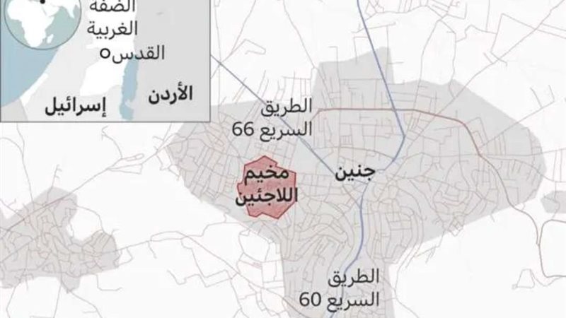 جنين 