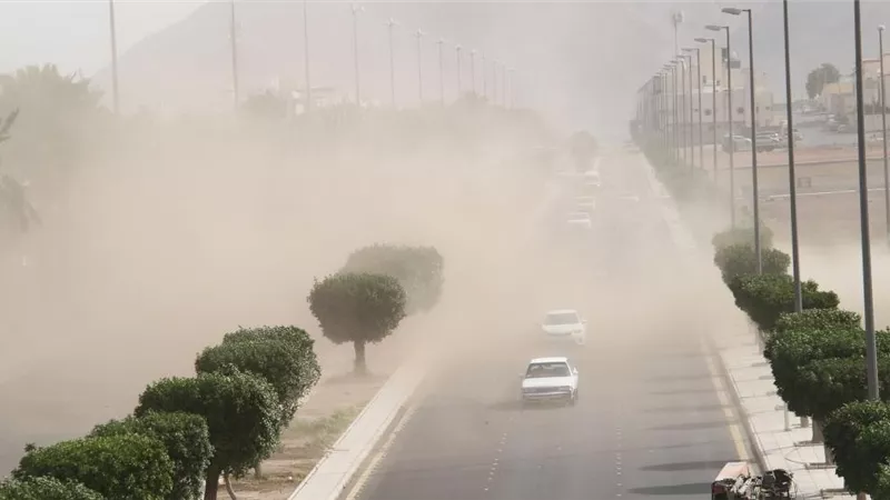 حالة الطقس في مصر اليوم الجمعة 24 يناير 2025 .. رياح وضباب وأمطار