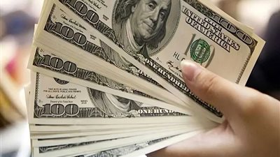 سعر الدولار الأمريكي مقابل الجنيه المصري اليوم الثلاثاء 28 يناير 2025