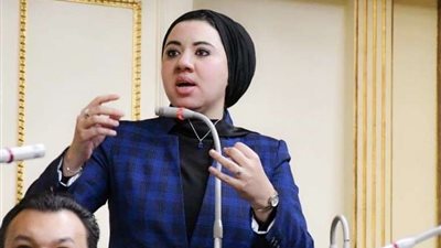 برلمانية: مخطط التهجير سيفشل 100%.. ومصر شوكة في حلق المخطط