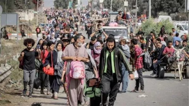 ألمانيا ترفض تهجير الفلسطينيين ومصر تؤكد دعمها الثابت لحقوق الشعب الفلسطيني