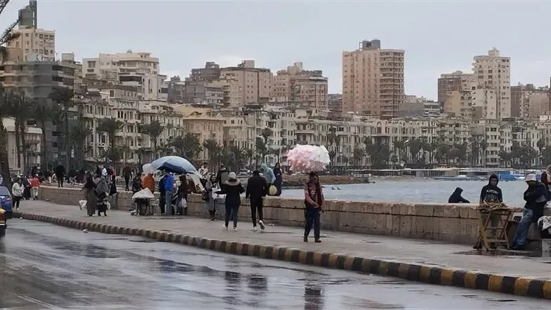 حالة الطقس ودرجات الحرارة في الإسكندرية اليوم الثلاثاء 28 يناير 2025