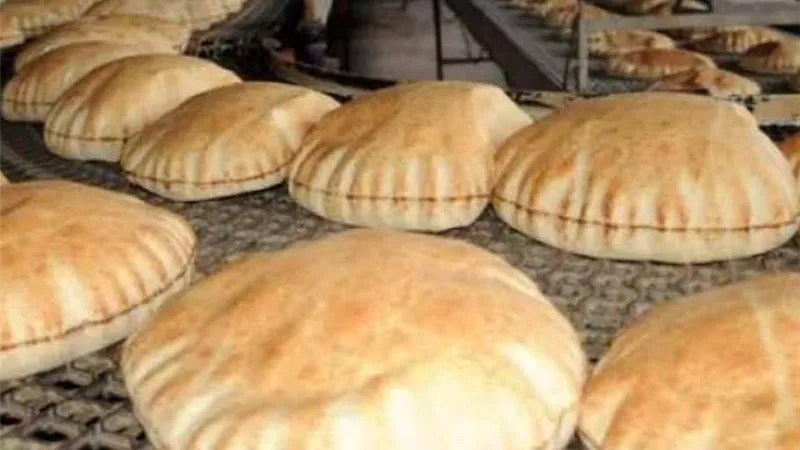 مصر تستورد 9 ملايين طن قمح سنوياً لتأمين الخبز المدعم