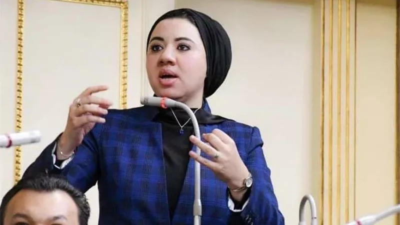 برلمانية: مخطط التهجير سيفشل 100%.. ومصر شوكة في حلق المخطط