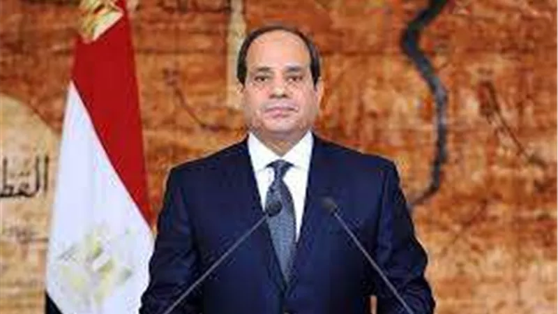 السيسي ووزير خارجية جيبوتي يؤكدان العمل لاستعادة الأمن في باب المندب