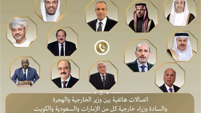 اتصالات مكثفة لوزير الخارجية مع نظرائه العرب لتأكيد رفض تهجير الفلسطينيين