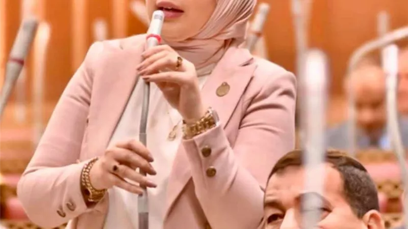 النائبة دينا هلالي: التاريخ شاهد على مساهمة أمريكا في جرائم التهجير القسري للفلسطينيين.. واحتشاد المصريين أبلغ رد