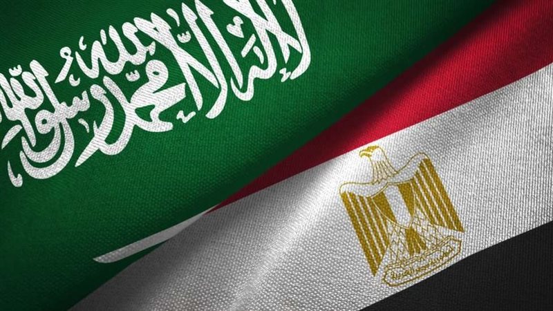مصر تدين تصريحات