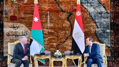 موسى: مصر والأردن على قلب رجل واحد وموقفهما ثابت لا يتغير