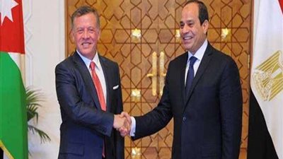 موسى: موقف مصر والأردن لم يتغير.. ولا استقرار دون دولة فلسطينية