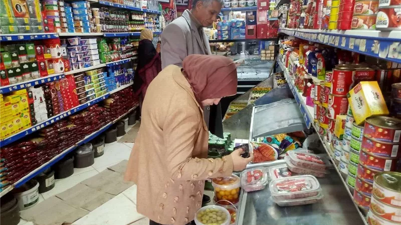 ضبط لحوم فاسدة ومنتجات منتهية الصلاحية في حملة تموينية بكفر الشيخ