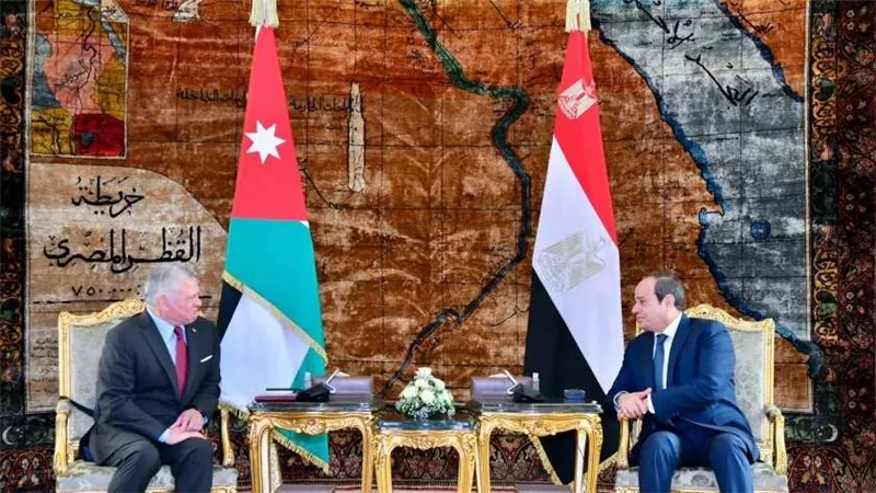 موسى: مصر والأردن على قلب رجل واحد وموقفهما ثابت لا يتغير