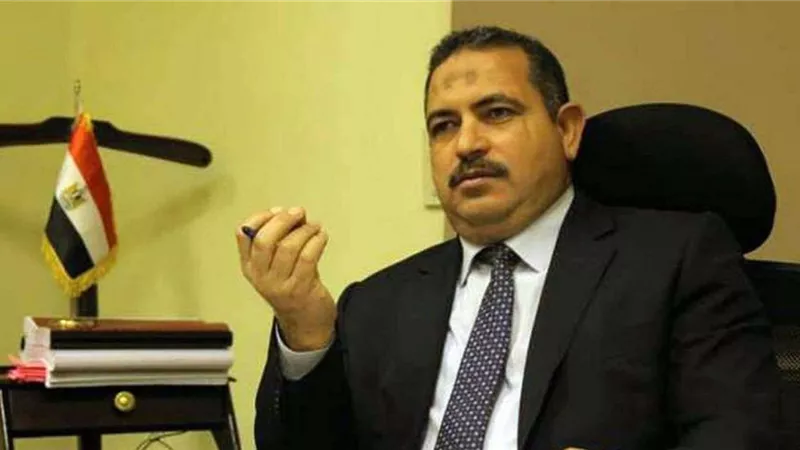 خالد الشافعي: نمتلك مصادر دولارية متنوعة واستغلالها الأمثل يوفر العملة الصعبة