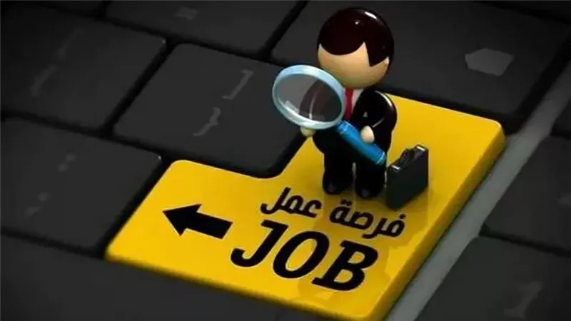 وزارة النقل تفتح باب التقديم لوظائف في مشروعات النقل الحديثة بالقاهرة الكبرى .. تفاصيل