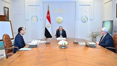 الرئيس السيسي يوجه بتحويل مخرجات البحث العلمي إلى منتجات