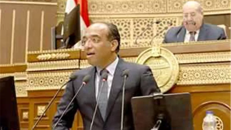 برلماني: إعادة تشغيل المصانع المتعثرة ركيزة مهمة نحو تحقيق الاكتفاء الذاتي