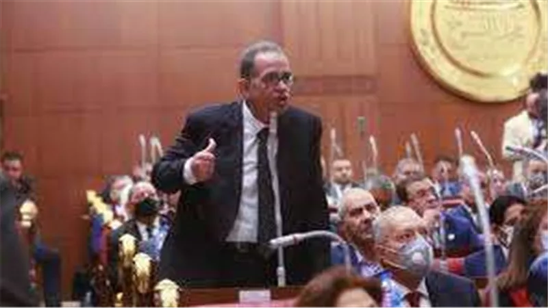برلمانية الوفد تحذر من اندثار المشروعات الصغيرة في القرى