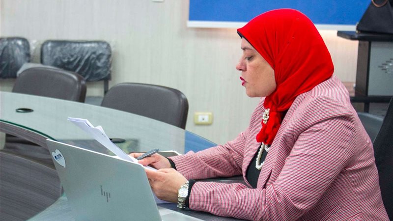 سلامة الغذاء الافريقية
