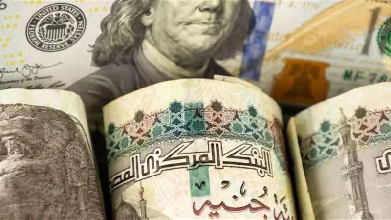 بعد تثبيت سعر الفائدة.. تعرف على سعر صرف الدولار مقابل الجنيه في البنوك