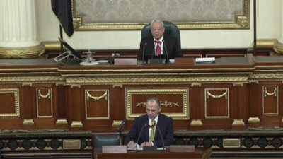 لجنة المشروعات الصغيرة بالنواب تصدر 4 توصيات بشأن الأنشطة الاقتصادية بالدقهلية