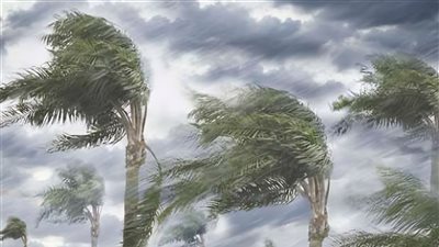برودة شديدة صباحًا وليلاً.. تحذير من طقس غير مستقر في الإسكندرية غدًا