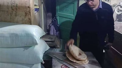 بتوجيهات محافظ الدقهلية.. ضبط 3 أطنان أعلاف ودواجن ولحوم وسلع متنوعة