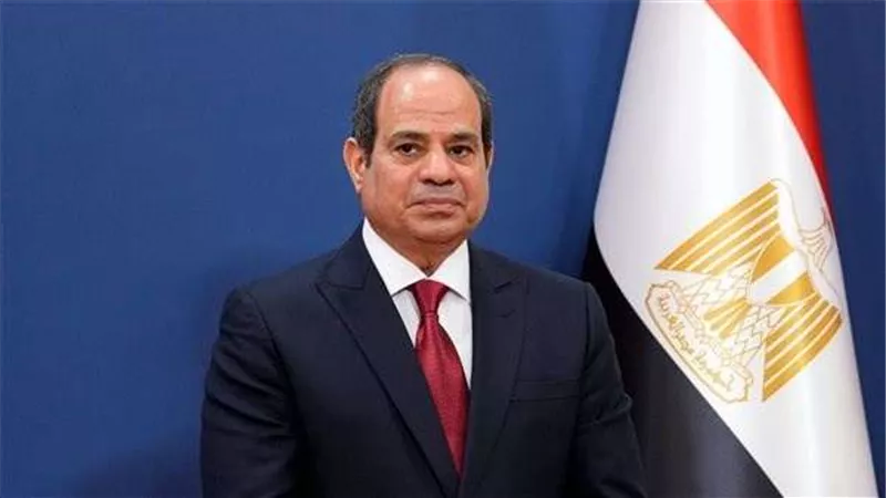 السيسي يؤكد لرئيسة مجلس النواب القبرصي حرص مصر على تعزيز التعاون المشترك