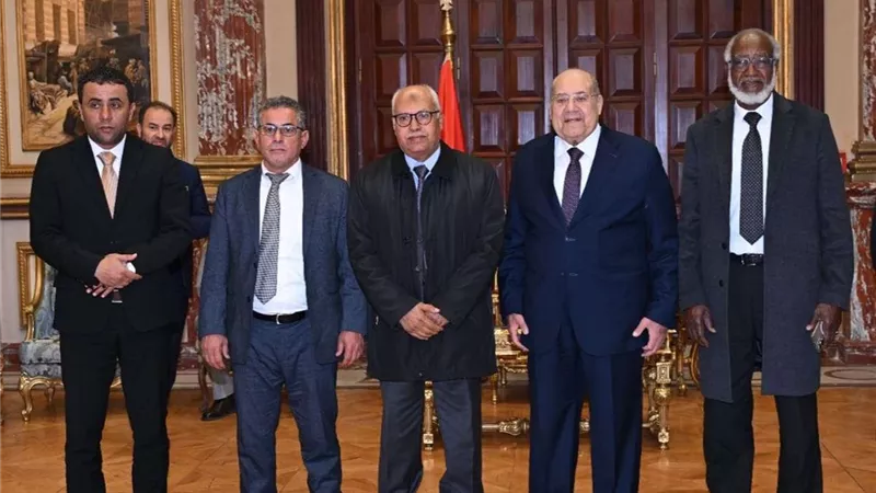 رئيس مجلس الشيوخ يستقبل وفدًا من المجلس الأعلى للدولة الليبي