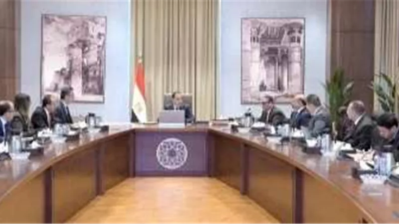 مجلس الوزراء: إتاحة الموارد المالية اللازمة لتوفير السلع ومستلزمات الإنتاج