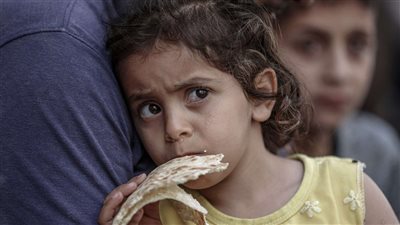 قطر: نرفض تجويع المدنيين في غزة وموقفنا ثابت تجاه القضية الفلسطينية